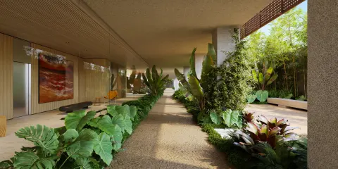 Neos em Itajaí (foto 6)