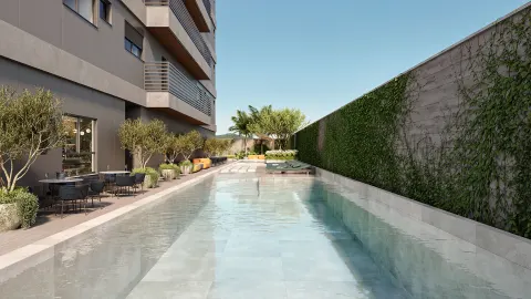 Hera em Porto Belo (foto 5)